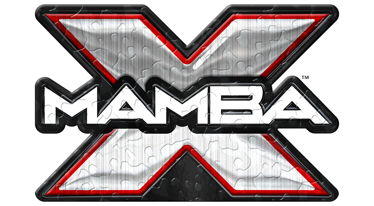 Mamba X