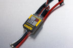 AIR ESC: PHOENIX EDGE LITE 100